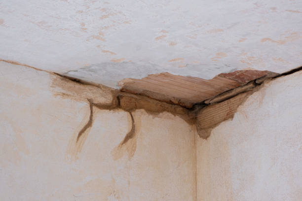 Best Flood damage cleanup  in Virginia, MN
