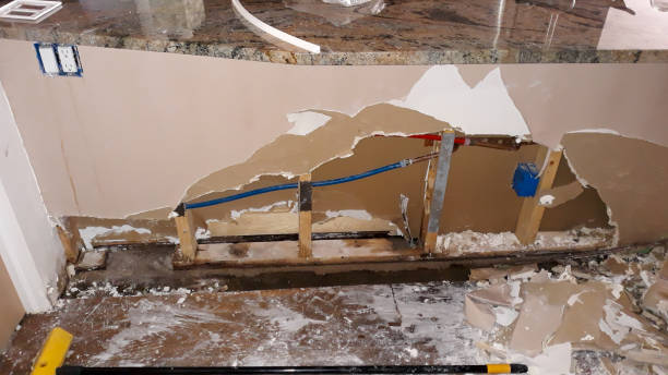 Best Fire Damage Restoration  in Virginia, MN