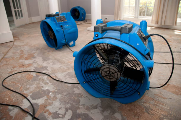 Best Water damage restoration near me  in Virginia, MN