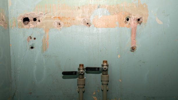 Best Flood restoration services  in Virginia, MN
