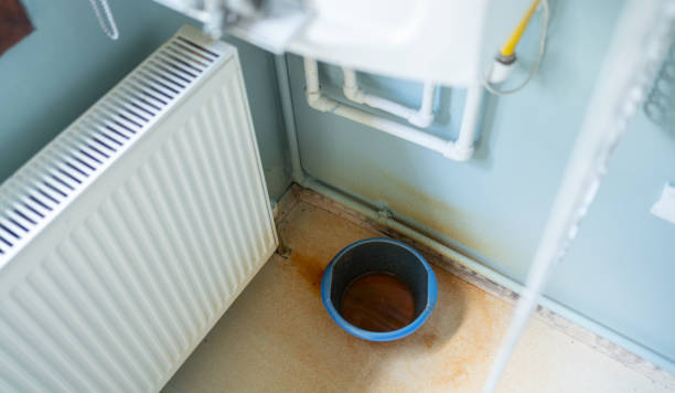 Best Ceiling water damage repair  in Virginia, MN