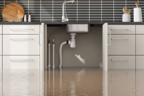 Best Professional water damage repair  in Virginia, MN
