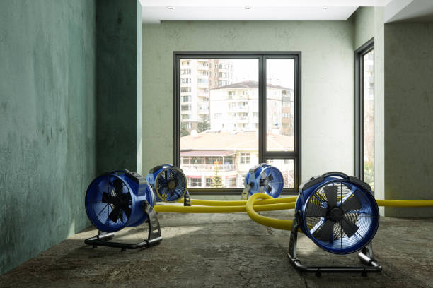 Best Water damage contractors near me  in Virginia, MN