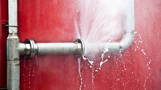 Best Sewage cleanup and water damage restoration  in Virginia, MN